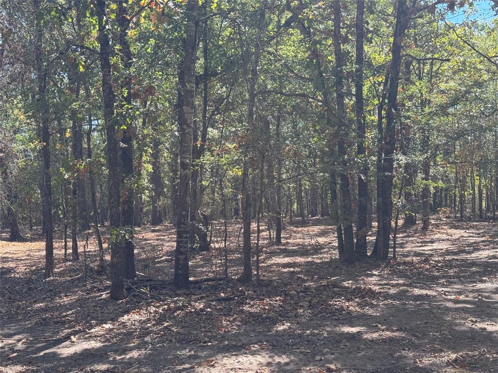 179 Rs County Road 2572 Property Photo 8