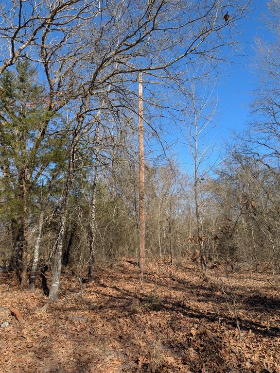 179 Rs County Road 2572 Property Photo 9