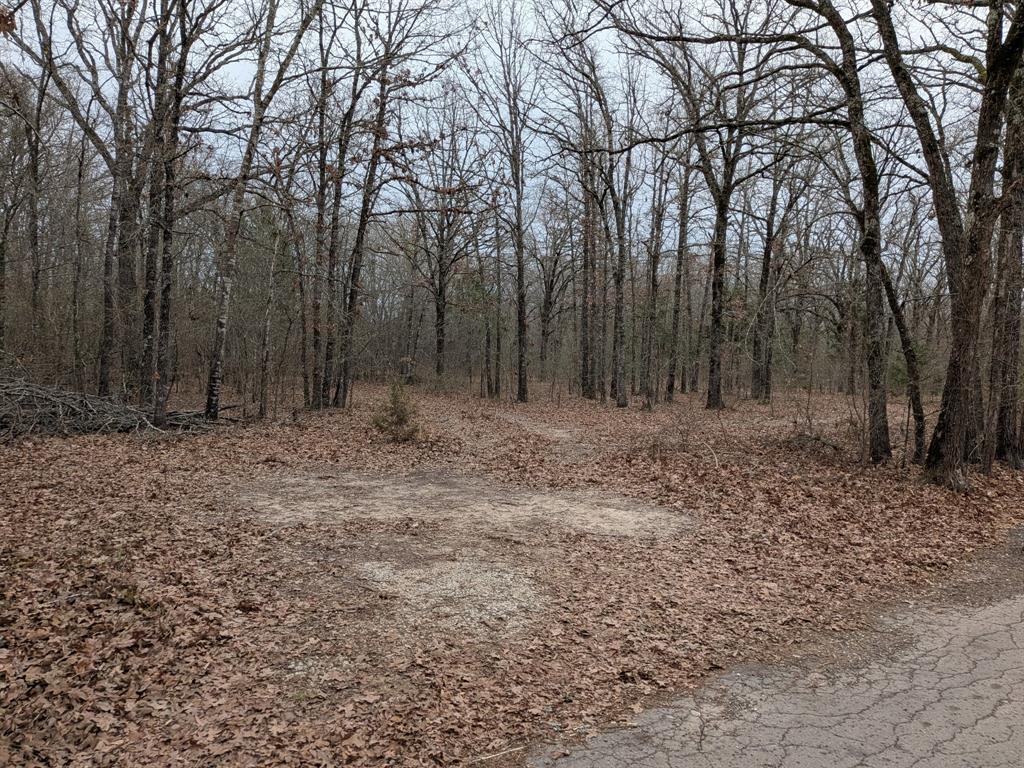 179 Rs County Road 2572 Property Photo 10