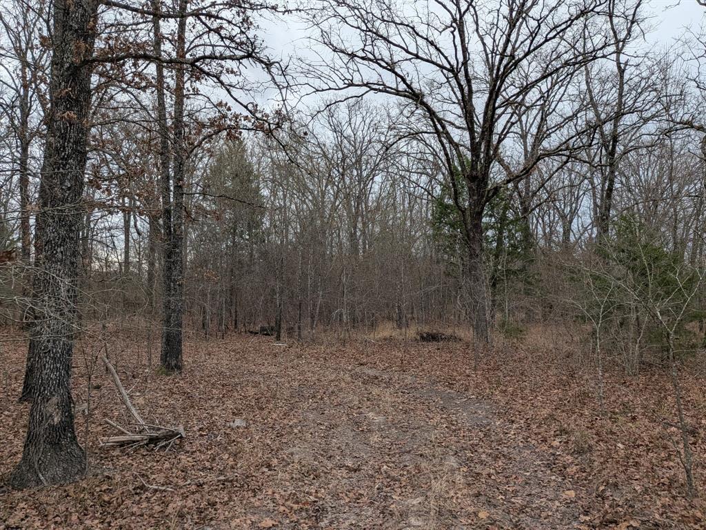 179 Rs County Road 2572 Property Photo 11