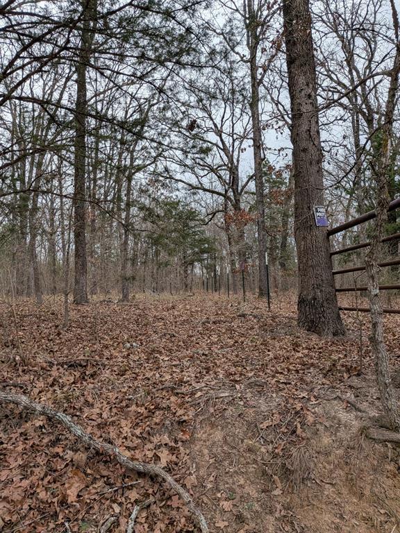 179 Rs County Road 2572 Property Photo 12