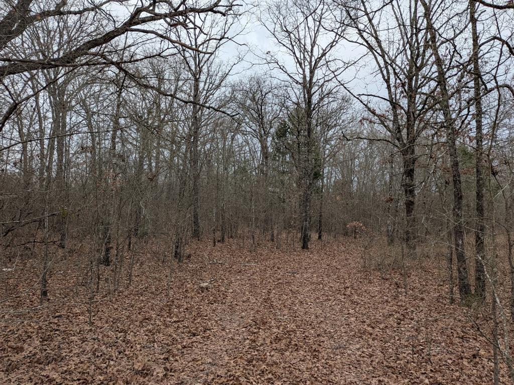 179 Rs County Road 2572 Property Photo 15