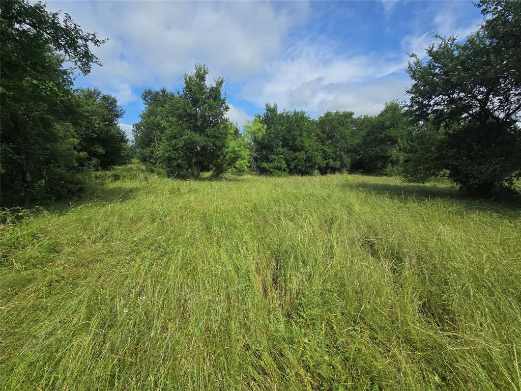 30 Oasis Ct Court Property Photo 6