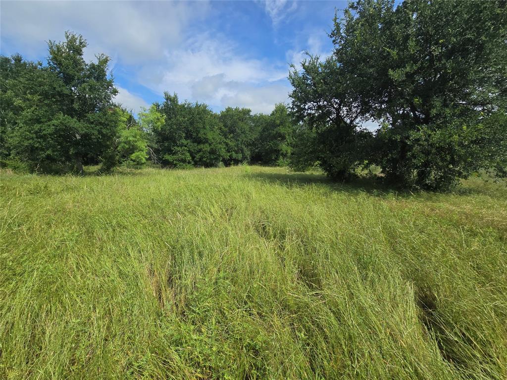 30 Oasis Ct Court Property Photo 8