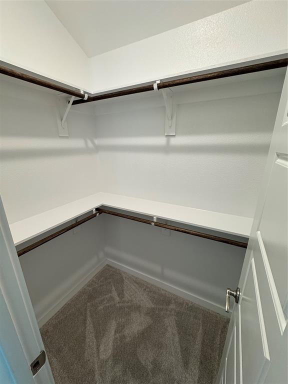 605 Finlee Way Property Photo 4