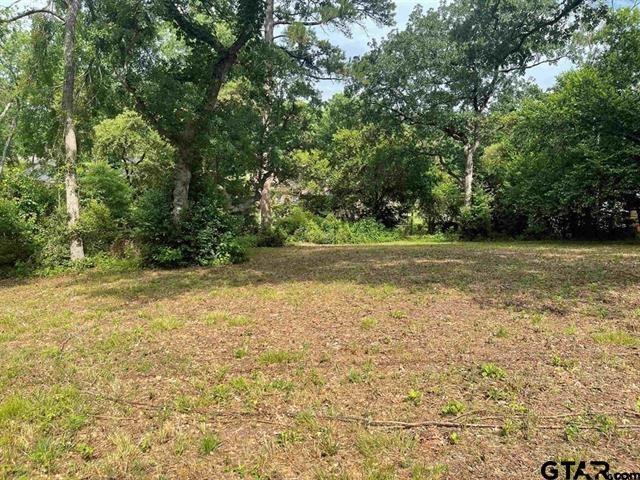 309 Harmony Lane Property Photo 1