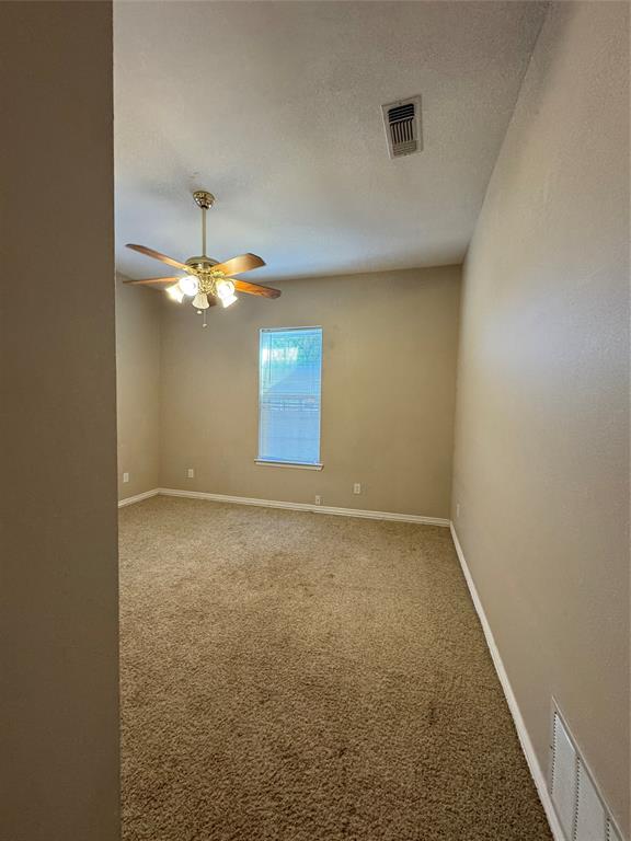 3916 Shepherd Property Photo 10