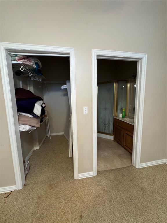 3916 Shepherd Property Photo 12