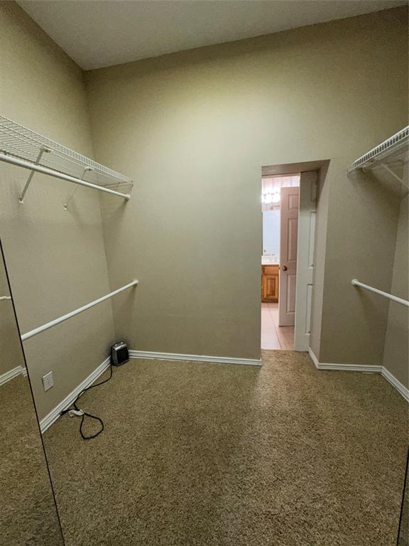 3916 Shepherd Property Photo 13