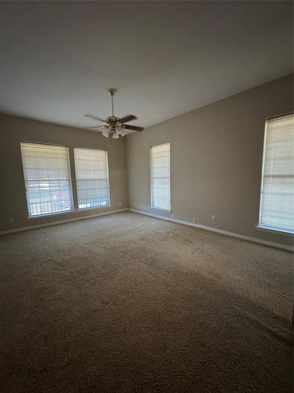 3916 Shepherd Property Photo 15