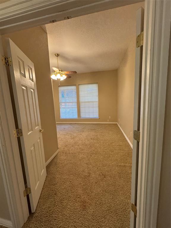 3916 Shepherd Property Photo 21