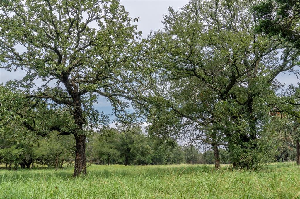 4750 Coleman Ranch Road Property Photo 3