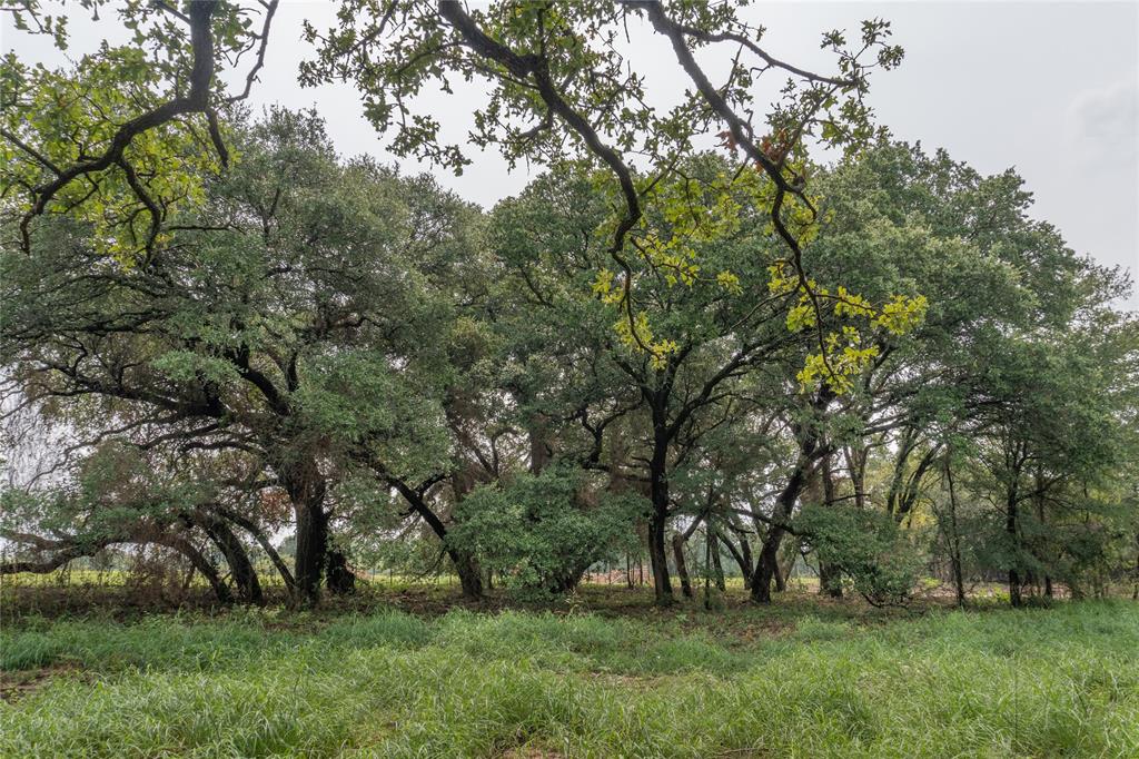 4750 Coleman Ranch Road Property Photo 5