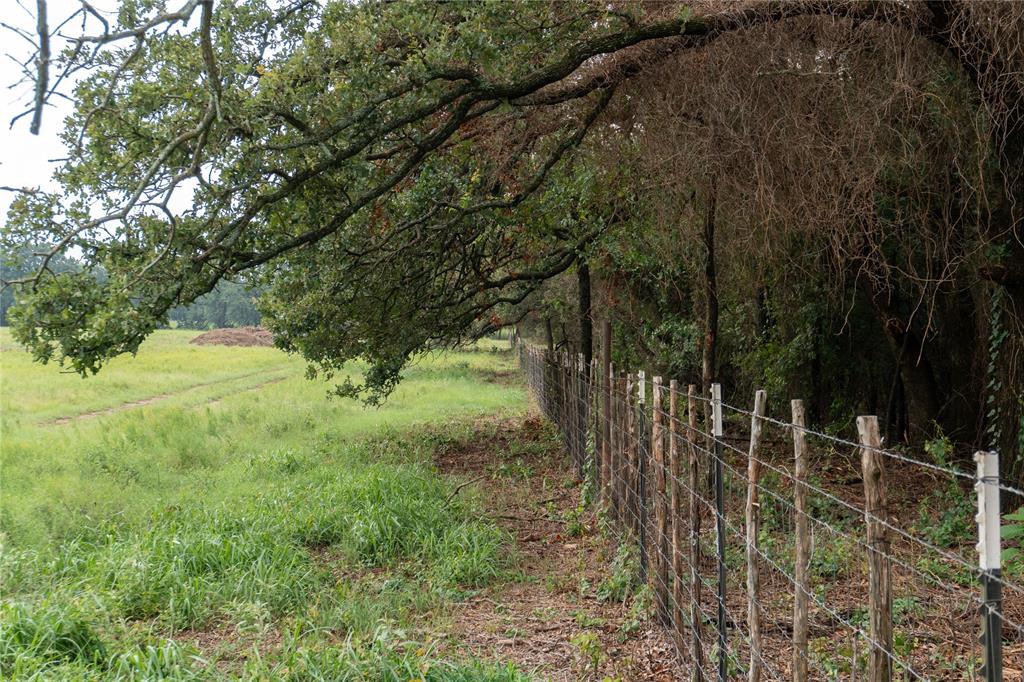 4750 Coleman Ranch Road Property Photo 6