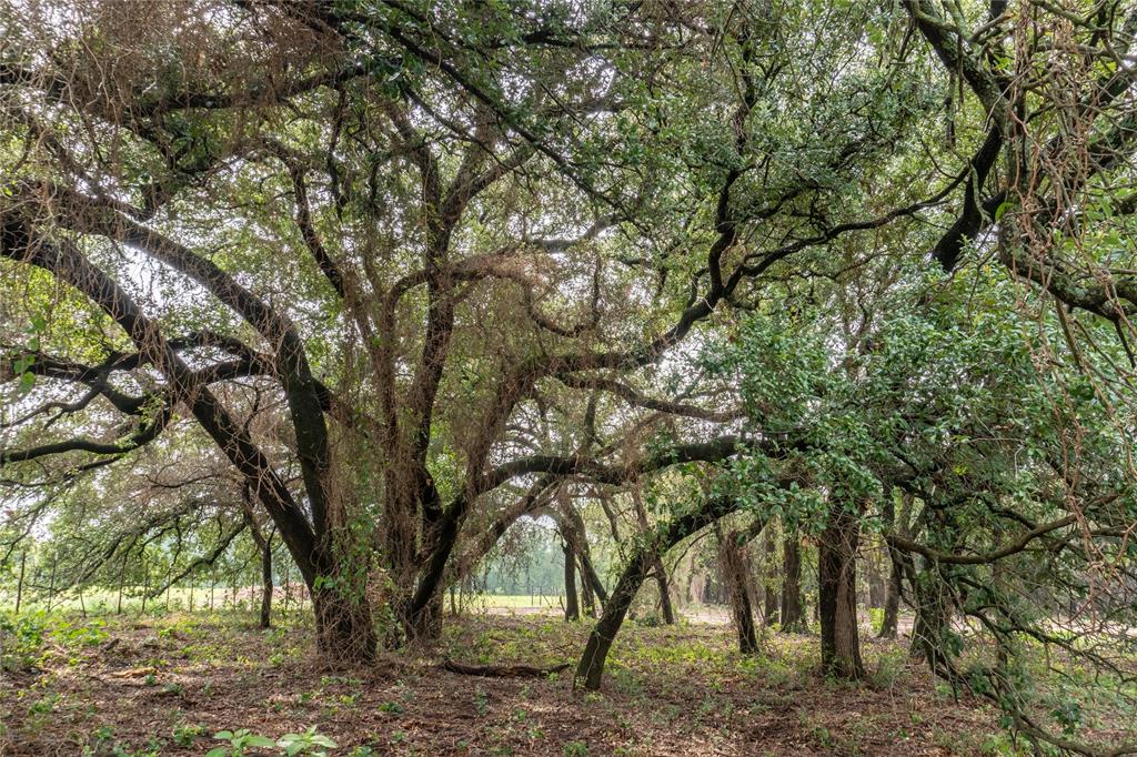 4750 Coleman Ranch Road Property Photo 7