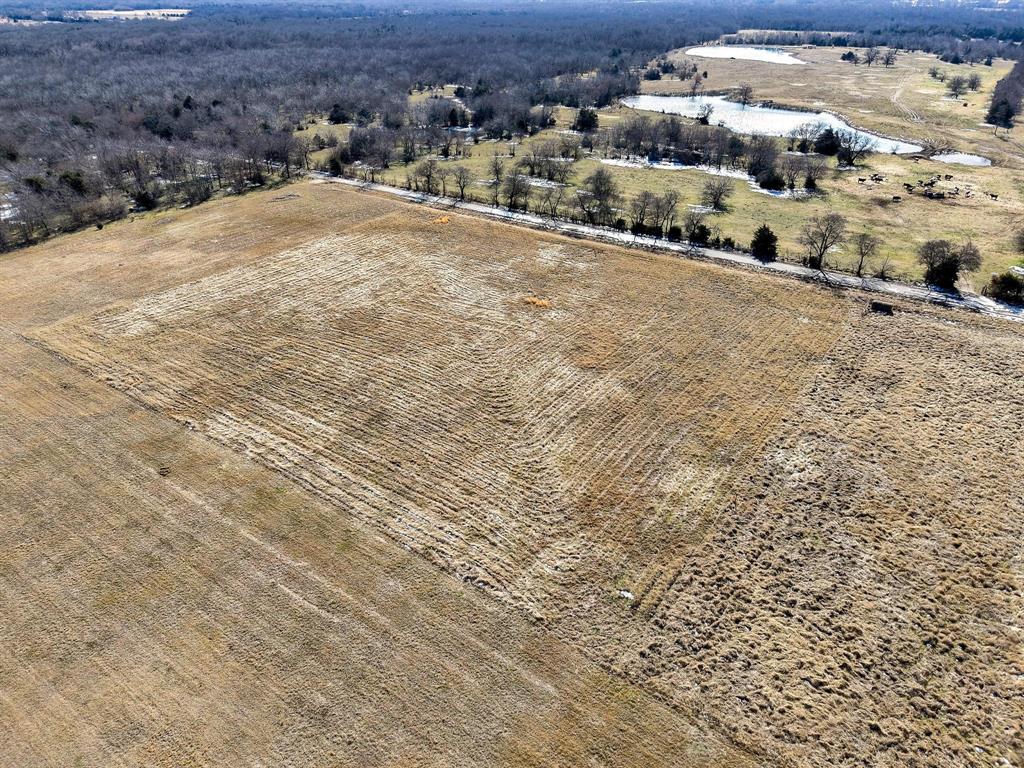 768 County Road 1021 Property Photo 17