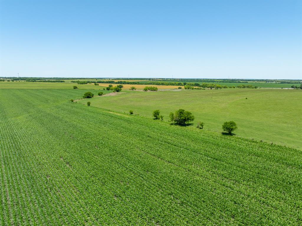 Tbd Cr 451 Property Photo 7