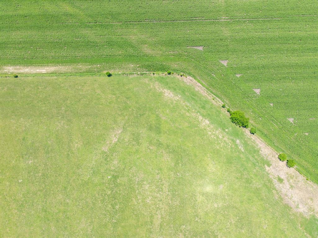 Tbd Cr 451 Property Photo 10