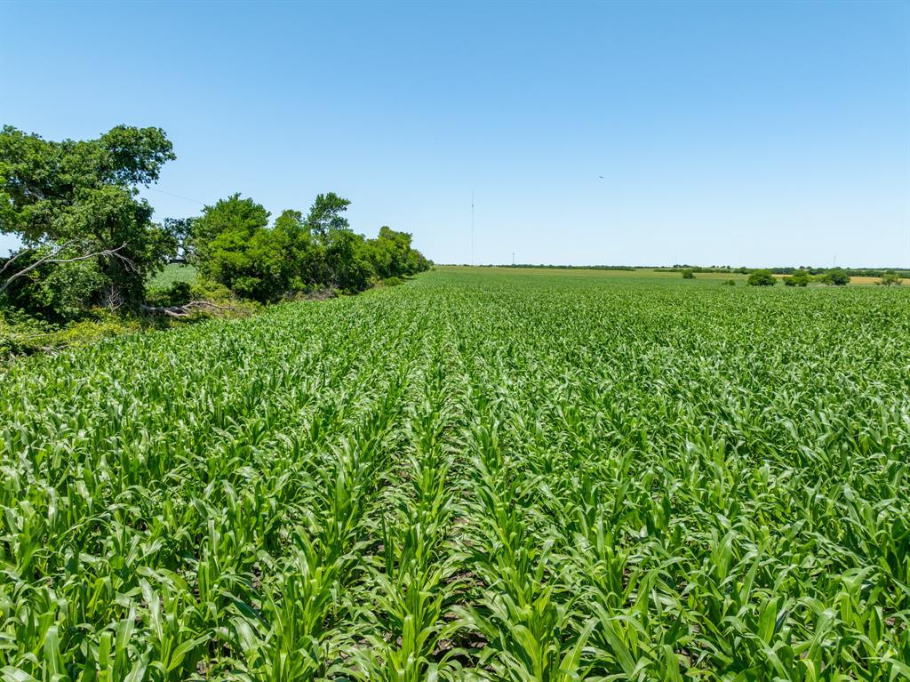 Tbd Cr 451 Property Photo 16