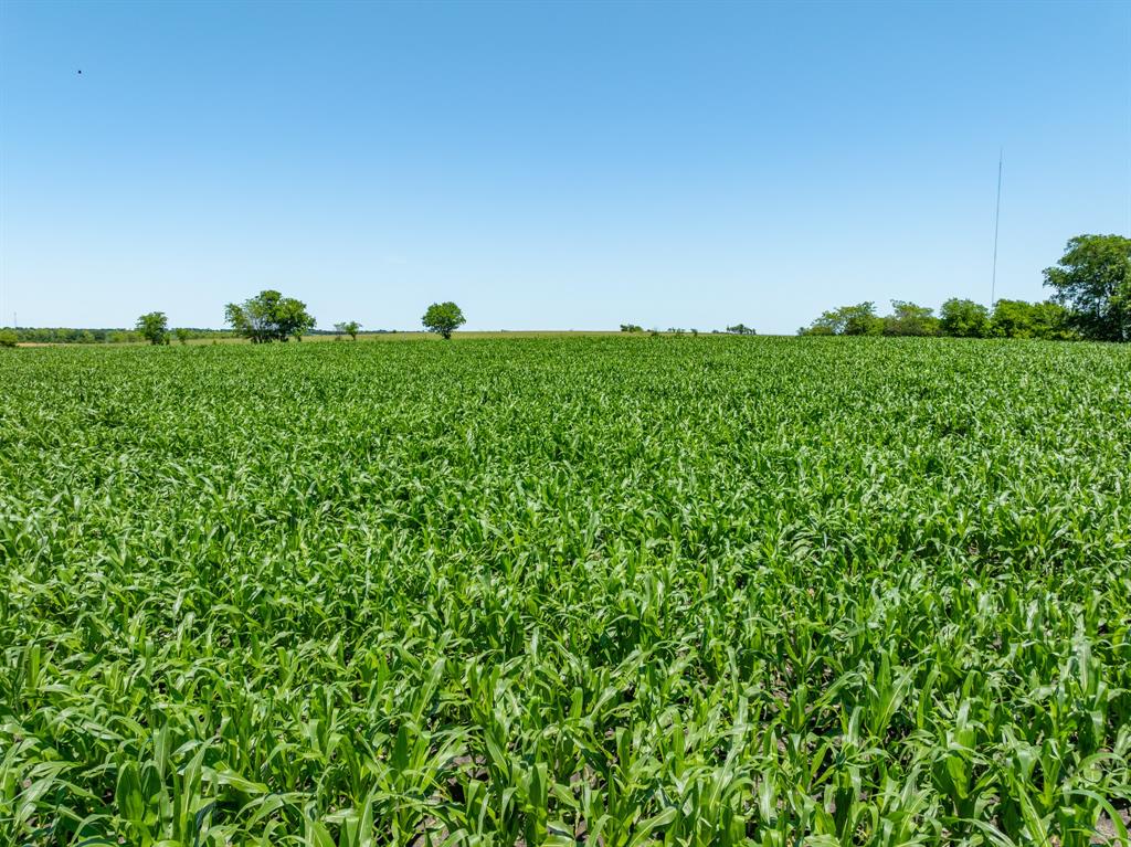 Tbd Cr 451 Property Photo 17