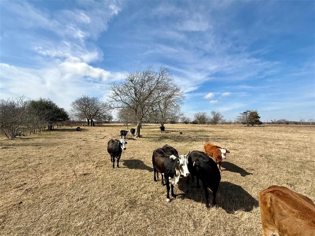 Tbd County Road 656 Property Photo 4