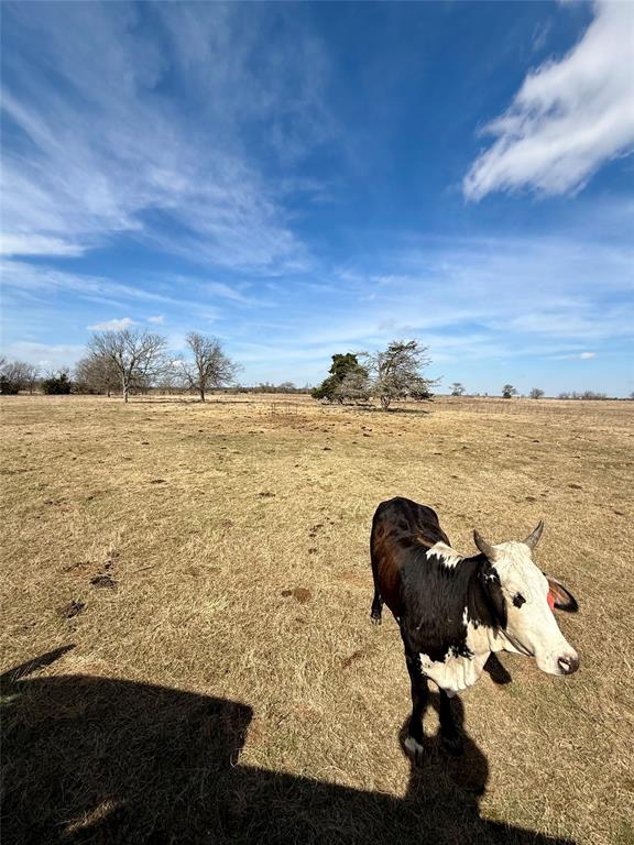 Tbd County Road 656 Property Photo 6