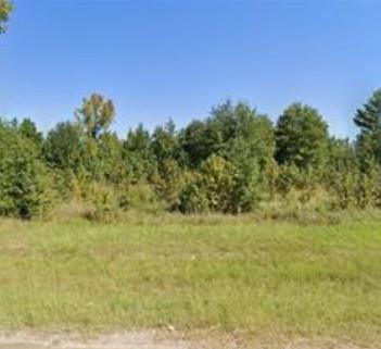 0 W, Burt Koons Industrial Loop Property Photo 1