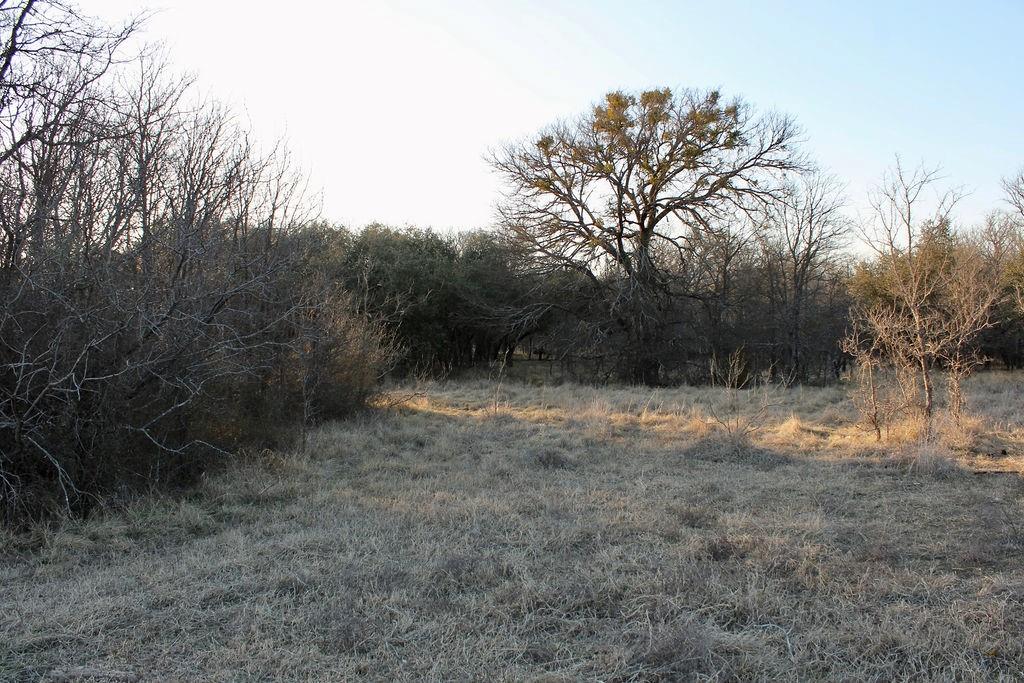 Lot 49 Tatanka Trail Property Photo 5