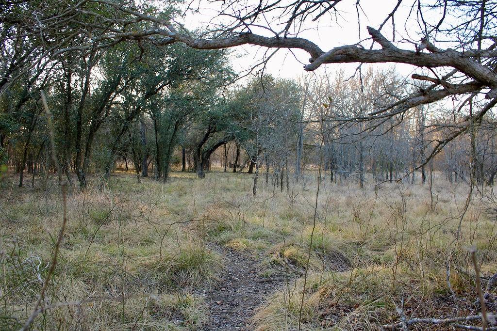 Lot 49 Tatanka Trail Property Photo 6