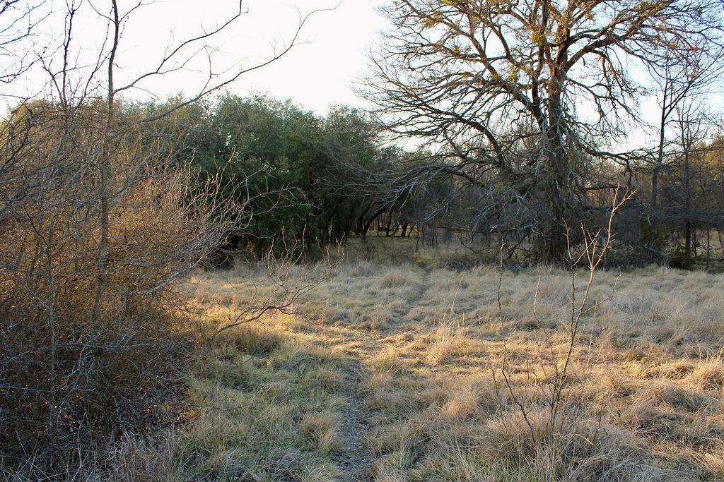 Lot 49 Tatanka Trail Property Photo 8