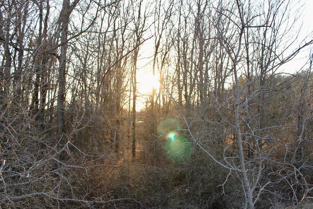 Lot 49 Tatanka Trail Property Photo 9