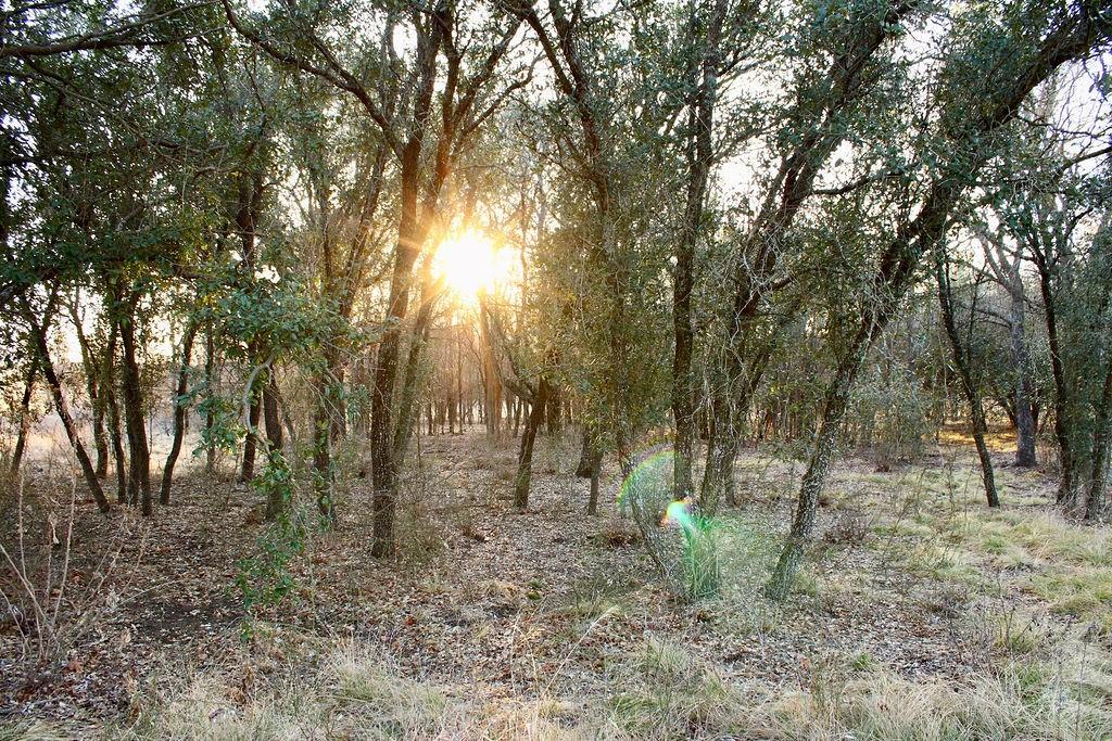 Lot 49 Tatanka Trail Property Photo 10