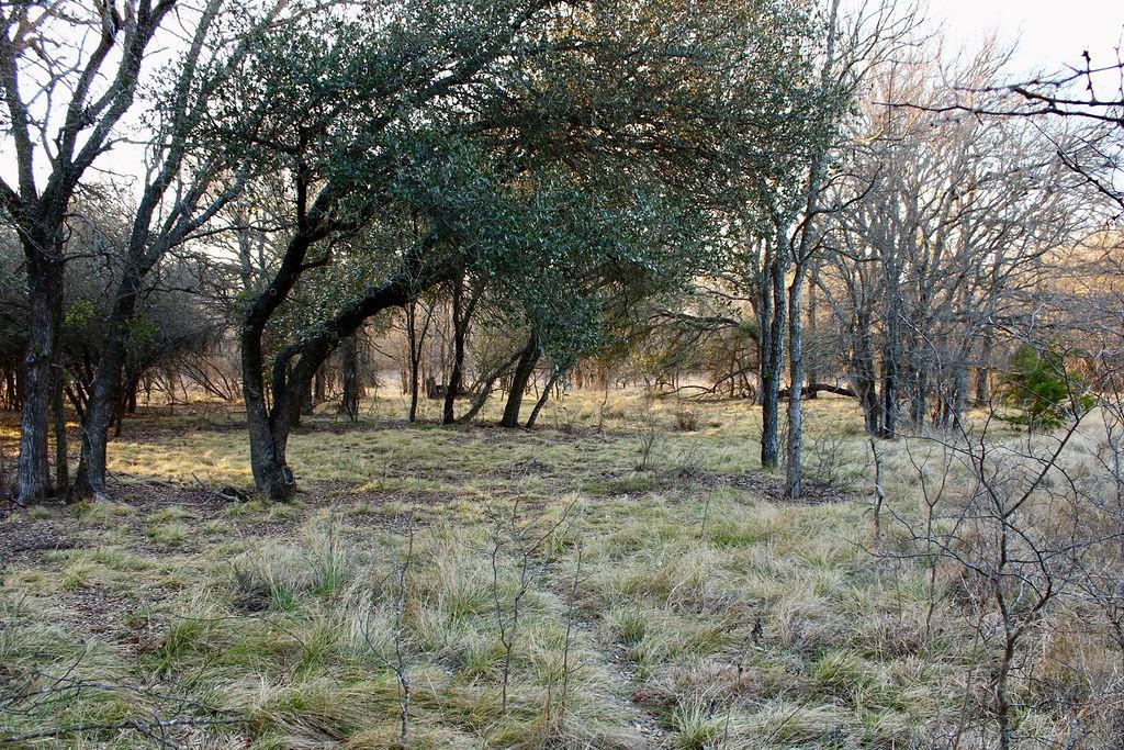 Lot 49 Tatanka Trail Property Photo 11