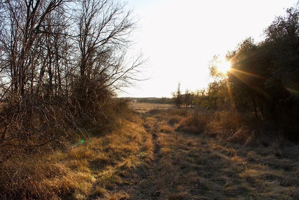 Lot 49 Tatanka Trail Property Photo 12