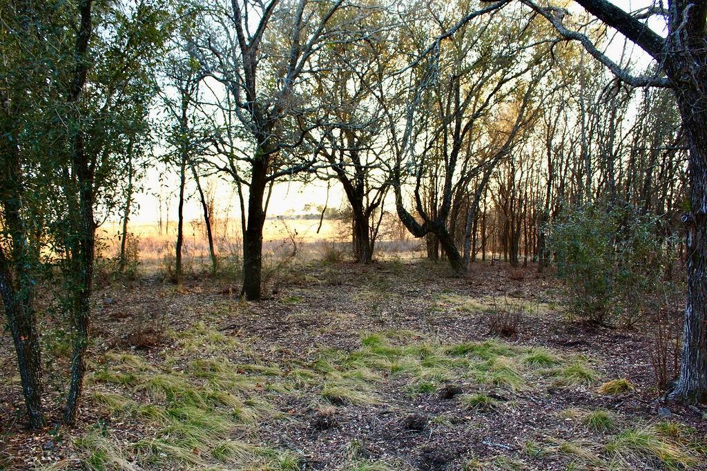 Lot 49 Tatanka Trail Property Photo 13
