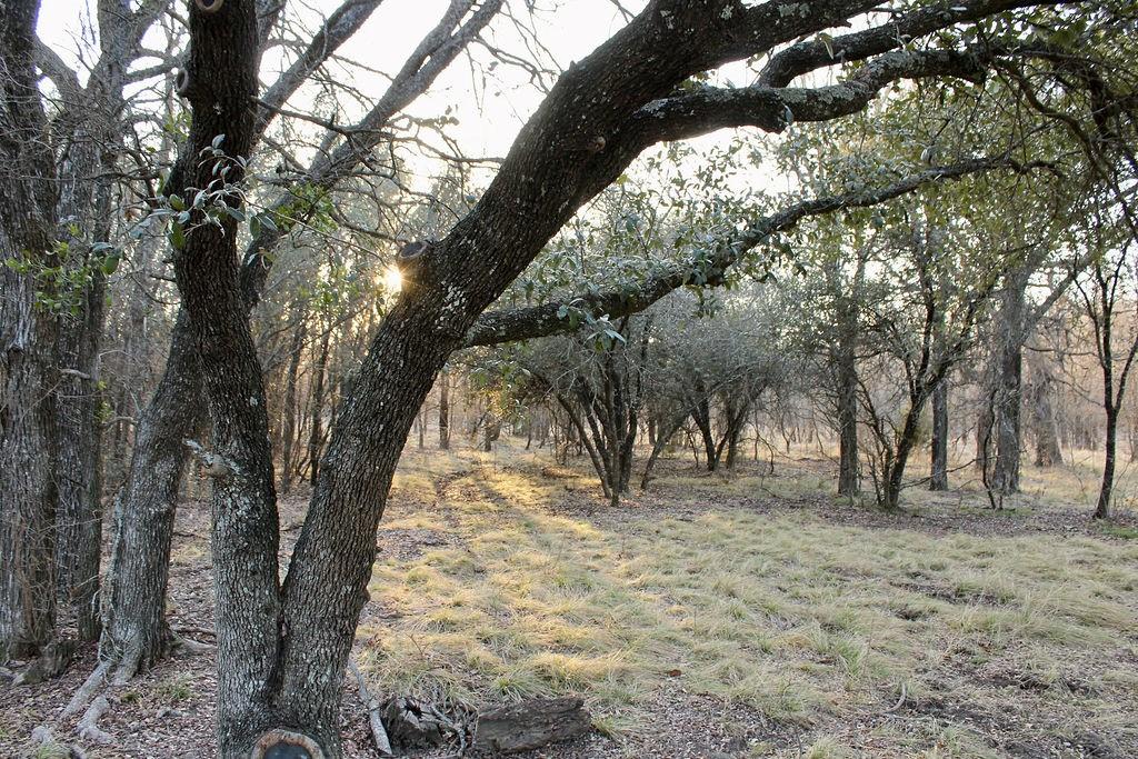 Lot 49 Tatanka Trail Property Photo 14
