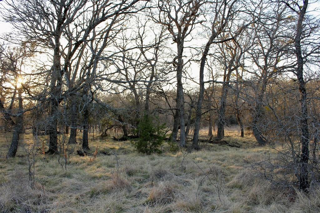 Lot 49 Tatanka Trail Property Photo 15