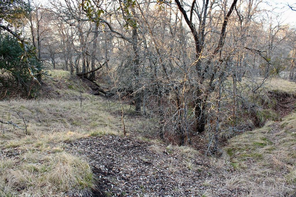 Lot 49 Tatanka Trail Property Photo 16