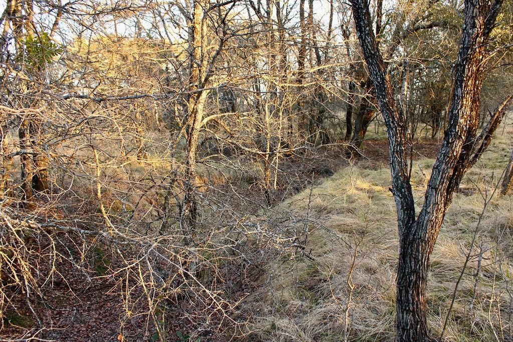 Lot 49 Tatanka Trail Property Photo 17