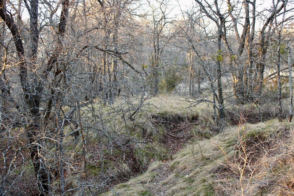Lot 49 Tatanka Trail Property Photo 18