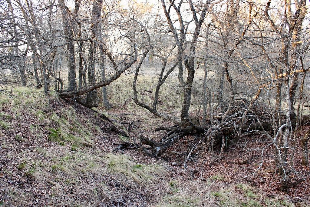 Lot 49 Tatanka Trail Property Photo 19