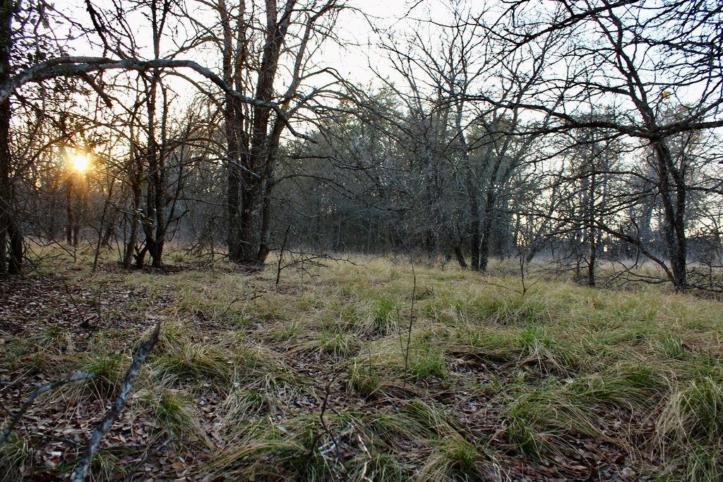 Lot 49 Tatanka Trail Property Photo 20