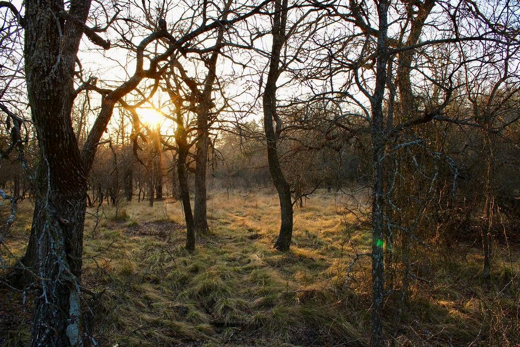 Lot 49 Tatanka Trail Property Photo 21
