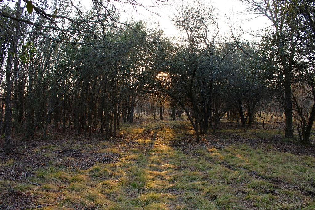 Lot 49 Tatanka Trail Property Photo 22
