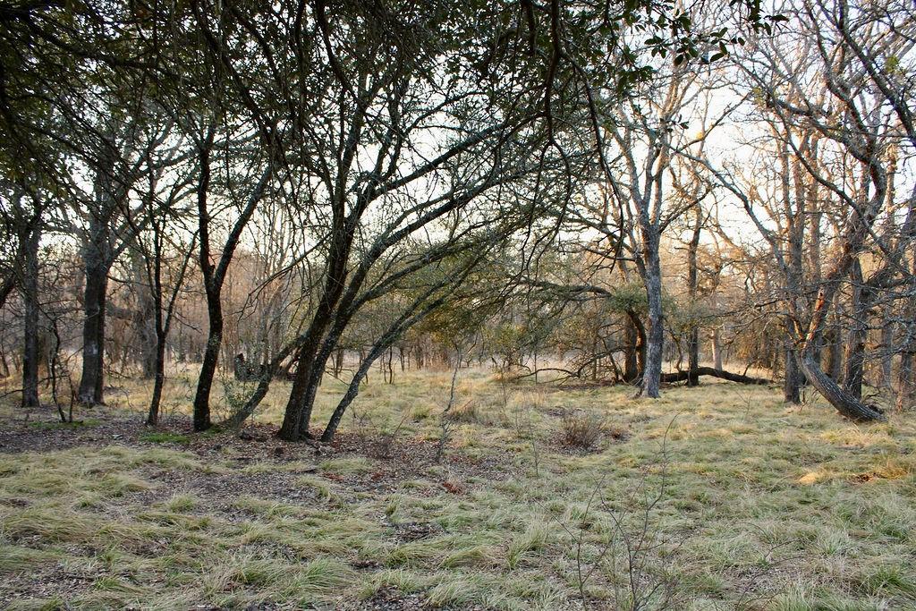 Lot 49 Tatanka Trail Property Photo 23