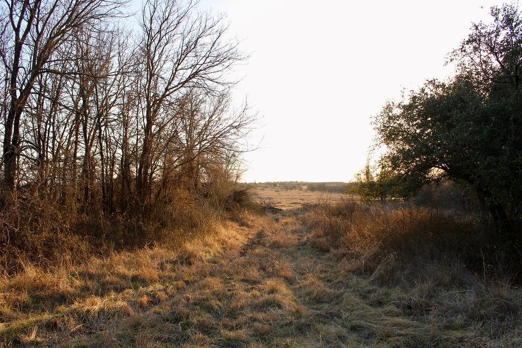 Lot 49 Tatanka Trail Property Photo 24