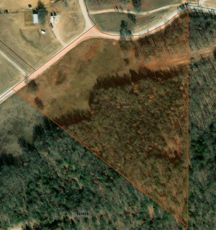 Tbd County Road 208 Property Photo 4