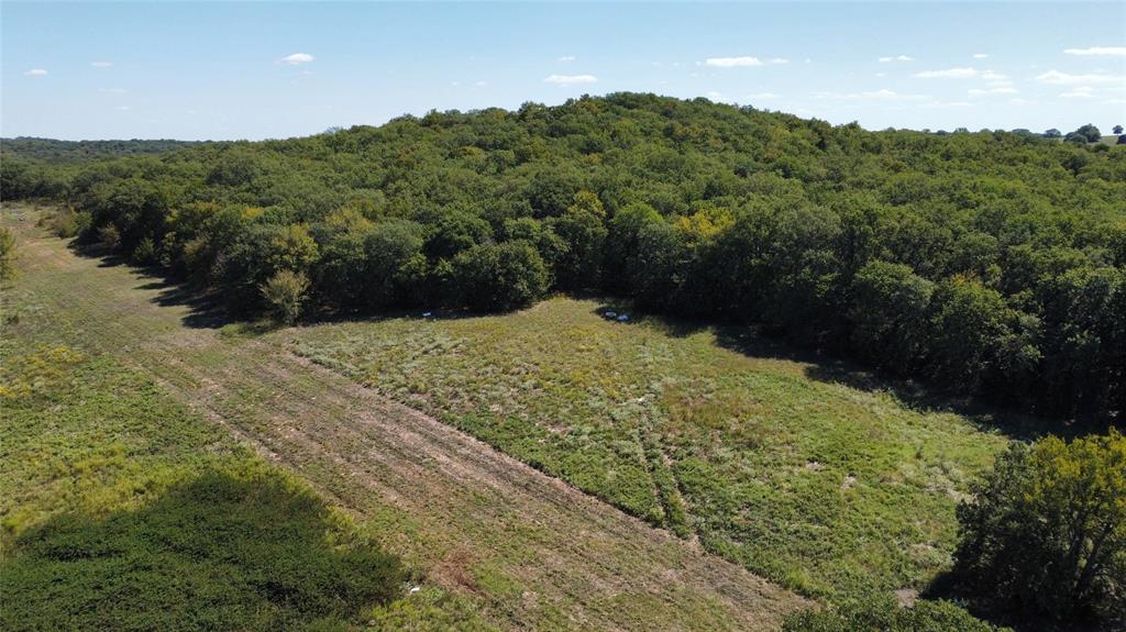 Tbd County Road 208 Property Photo 7