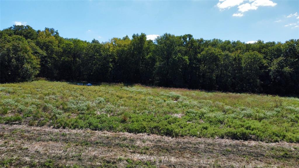 Tbd County Road 208 Property Photo 8