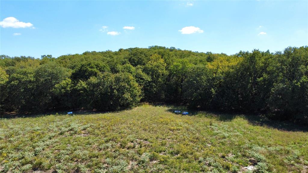 Tbd County Road 208 Property Photo 9